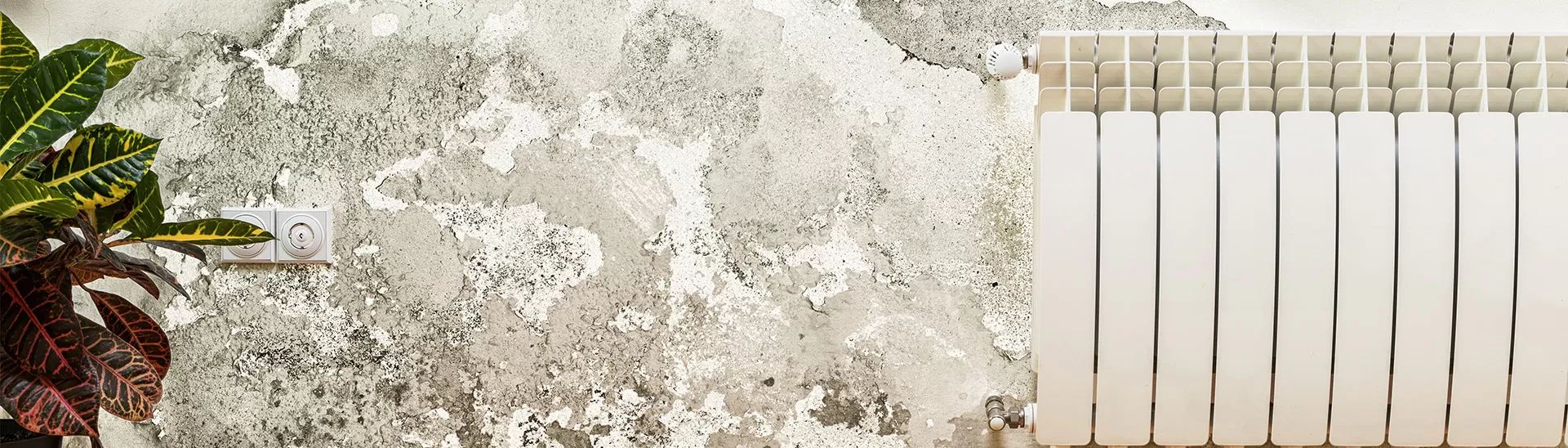 Effective Wall Dampness Solutions Causes, Prevention, and Repair Tips Nerolac